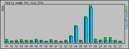 Hourly usage
