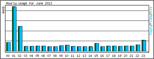 Hourly usage