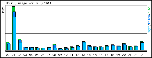 Hourly usage
