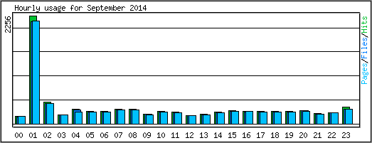 Hourly usage