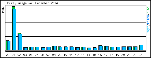 Hourly usage