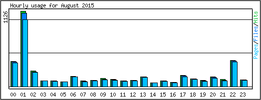 Hourly usage