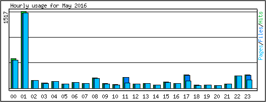 Hourly usage