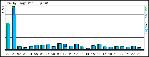 Hourly usage