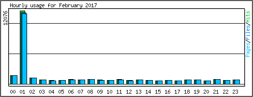 Hourly usage