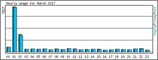 Hourly usage
