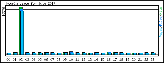 Hourly usage