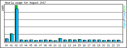 Hourly usage
