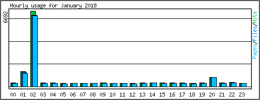 Hourly usage