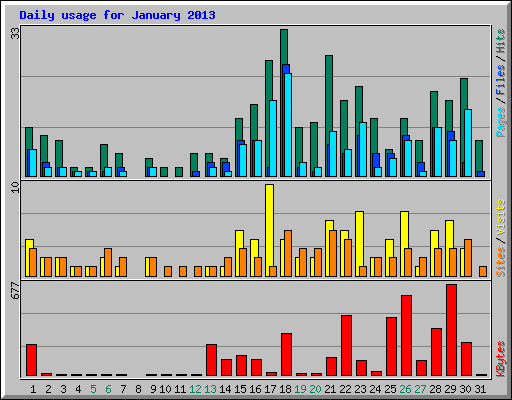 Daily usage for January 2013