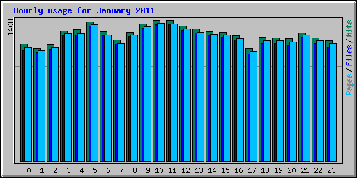 Hourly usage for January 2011