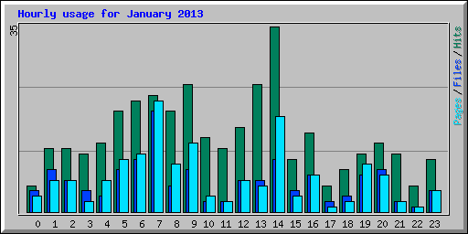 Hourly usage for January 2013