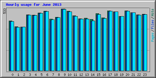 Hourly usage for June 2013