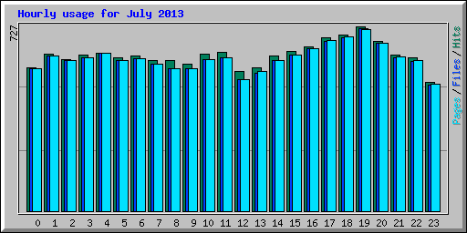 Hourly usage for July 2013