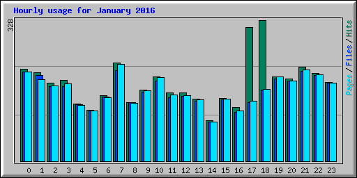 Hourly usage for January 2016