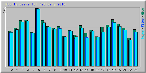 Hourly usage for February 2016