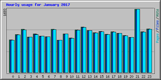 Hourly usage for January 2017